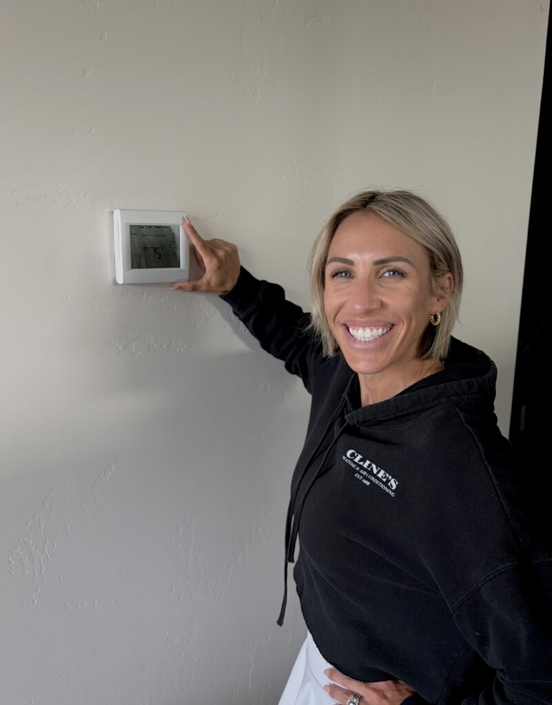 smart thermostat